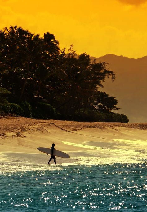 img_v3_02rf_6ea1765a-f6b3-4b86-b7c7-cc896832a72g.jpg__PID:f2445cdd-678b-4447-94a6-591d68e36a14